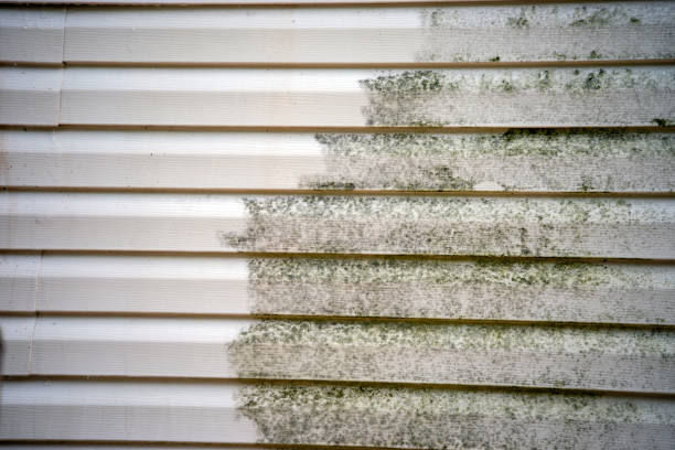 Best Moving and Downsizing Cleanouts  in West Haven Sylvan, OR